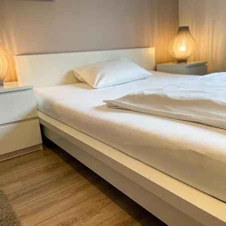 Apartment Business Altstadt *