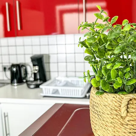 Business Altstadt Apartment *