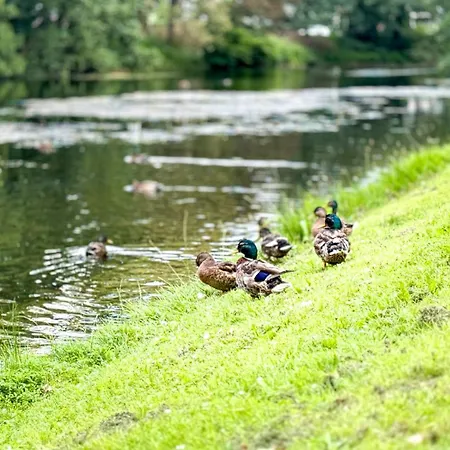 Business Altstadt * Brémy