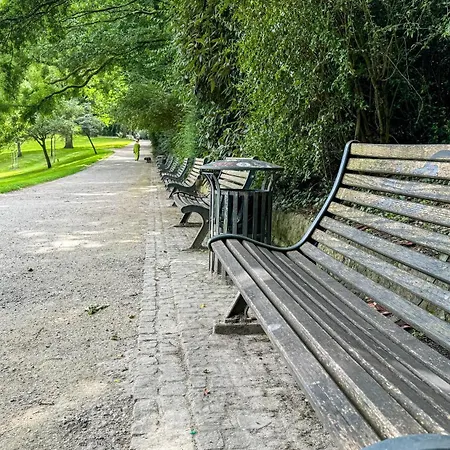 Apartment Business Altstadt *