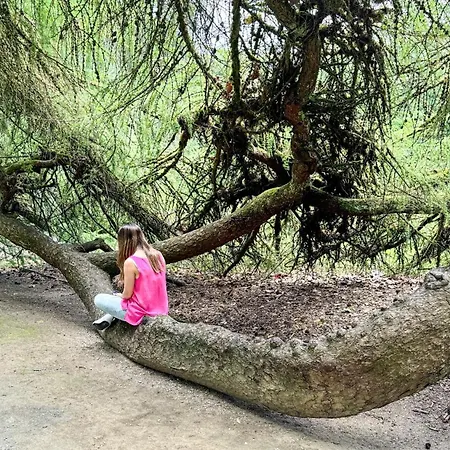 Апартаменты Business Altstadt