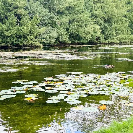 Business Altstadt Apartmán Brémy