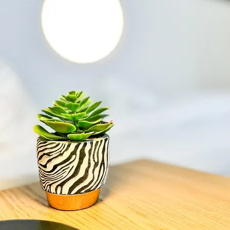 Business Altstadt Apartmán *