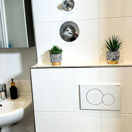 Apartment Business Altstadt *
