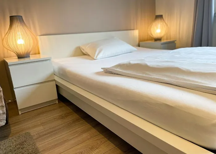 Apartment Business Altstadt *