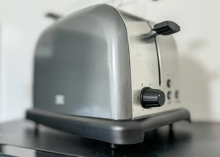 Apartment Business Altstadt *