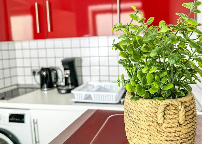 Business Altstadt Apartment *