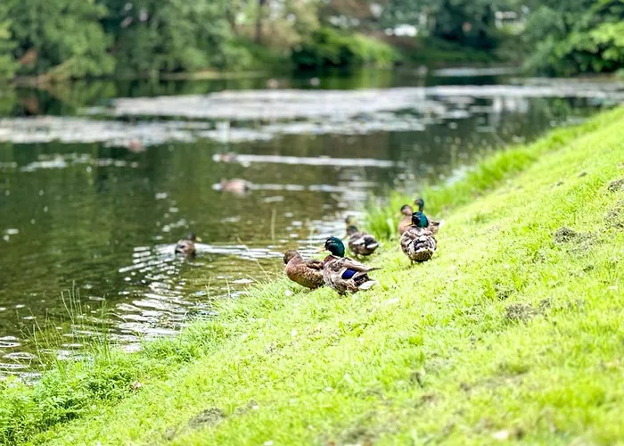 Business Altstadt * ブレーメン