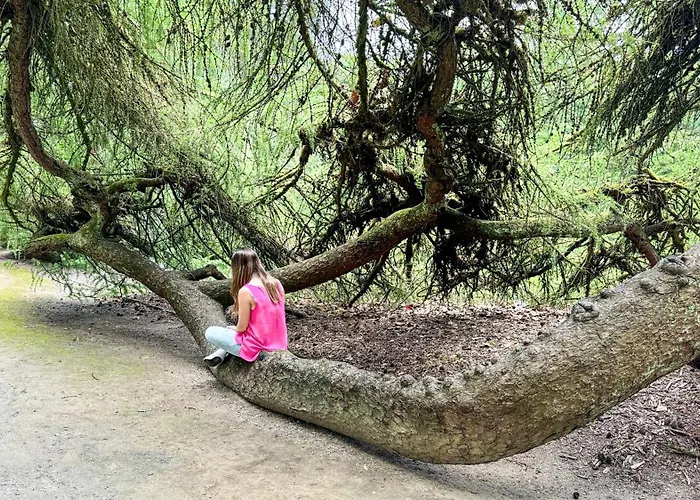 アパート Business Altstadt