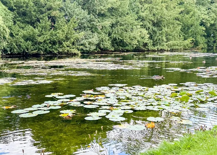 Business Altstadt Apartment Bremen