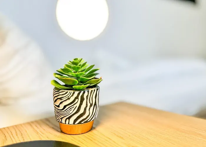 Business Altstadt Apartment *