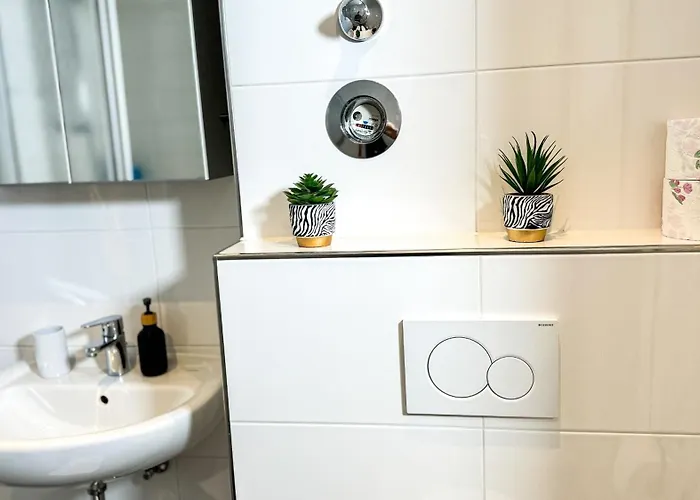 Apartment Business Altstadt *